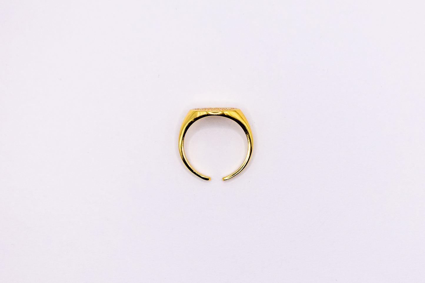 Majestätischer Siegel-Ring aus vergoldetem 925 Silber